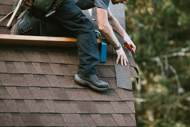 Best Shingle Roofing Installation  in Manton, MI